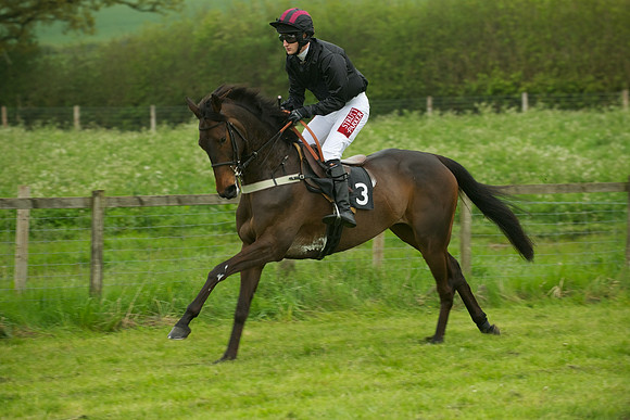 Race 2 - Novices 23