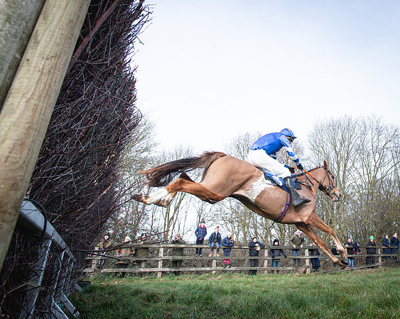 Race 2 - Maiden (103 of 145)