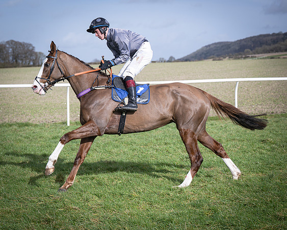 Race 3 - The Maiden Conditions (63 of 214)