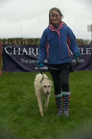 2 - Dog Show 8