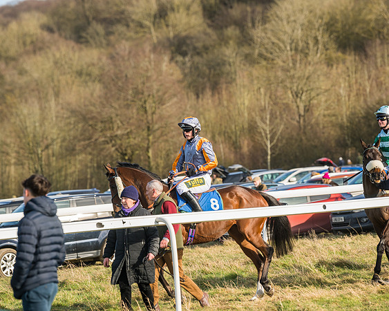 Race 5 - Restricted (2 of 146)