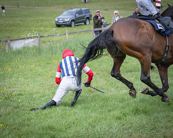 Race 6 - 2M4F Maiden (44 of 85)