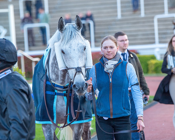 Race 7 - Glos Hussars  (40 of 245)