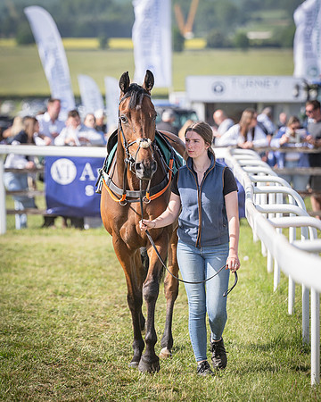 Race 6 - 2m5f Conditions (9 of 70)