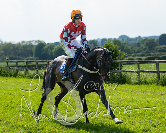 Race 5  - Maiden race 2m5F Div-1 (85 of 197)