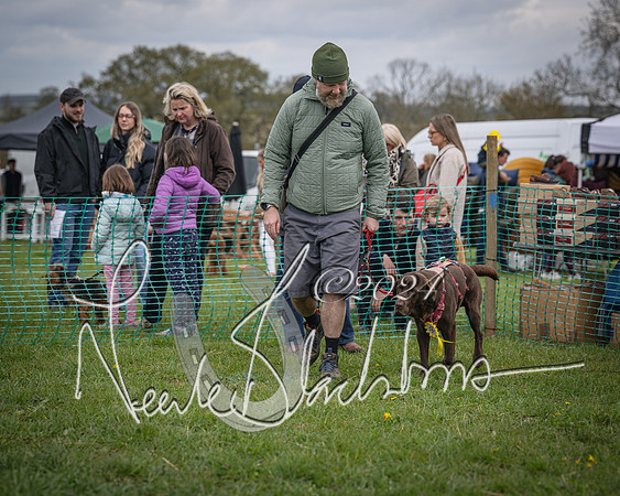 Bicester - Dog Show (45 of 106)
