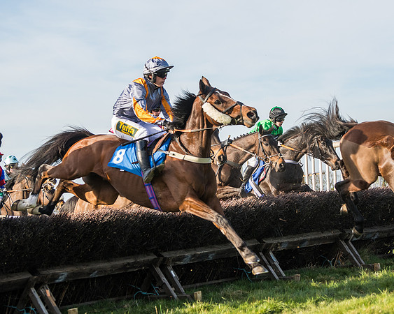 Race 5 - Restricted (29 of 146)