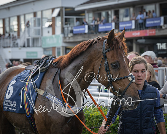 Race 3 - The pointtopoint.co.uk champion novices’ Hunter Chase (12 of 140)