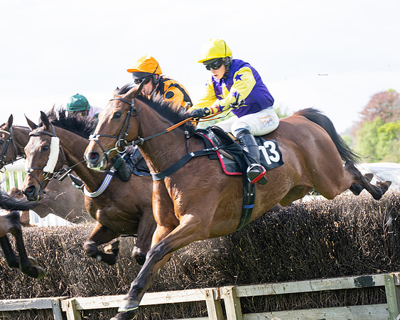 Race 4 -  2M4F Conditions  (63 of 102)