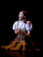 The Wizard of OZ -  9