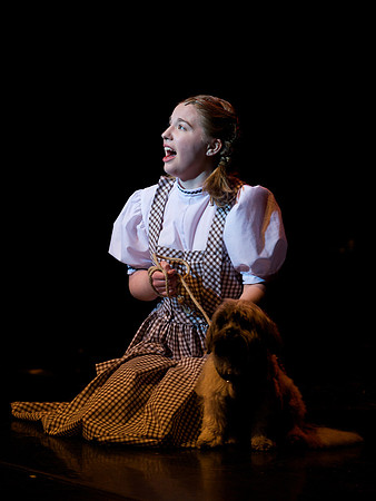 The Wizard of OZ -  9