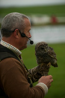 3 - CA Birds of Prey 13