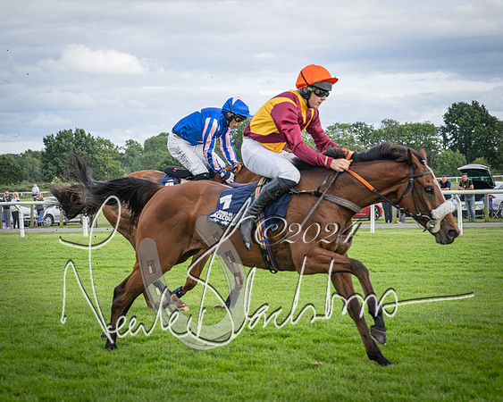 Race 1 - Pointing Pointers Restricted Final (55 of 79)