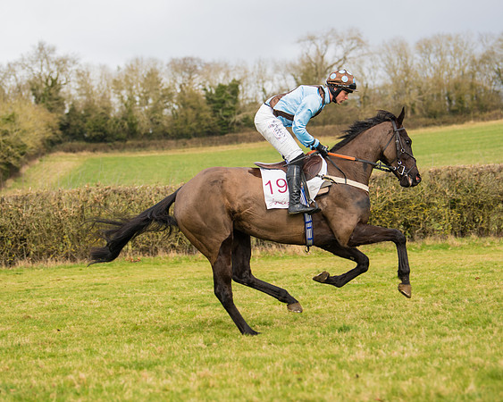 Race 2 - Open Maiden (21 of 128)