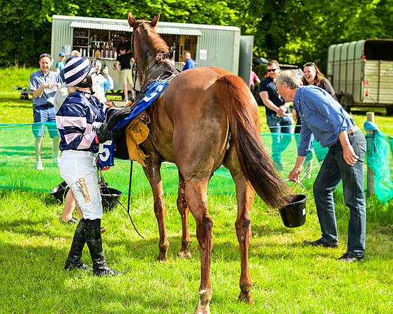 Race 4 - Ladies Open  (66 of 79)