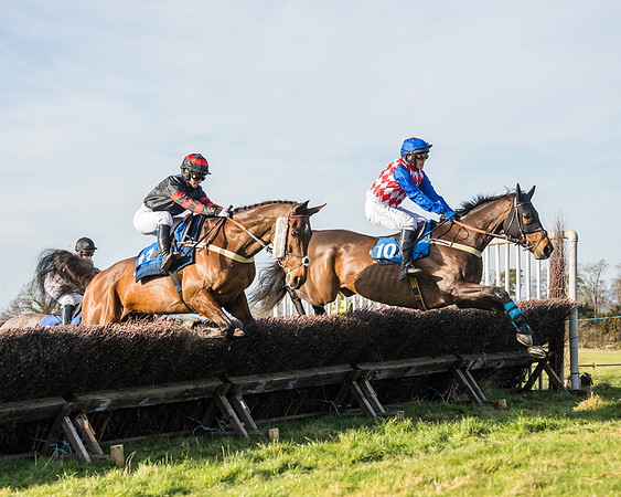 Race 5 - Restricted (21 of 146)