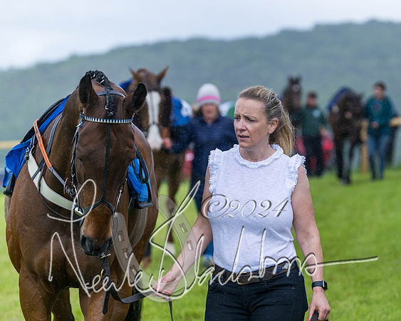 Race 1 - Owner-Trainer Conditions  (20 of 392)