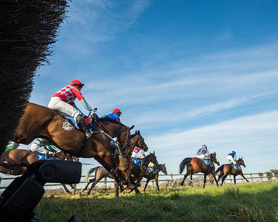 Race 5 - Restricted (54 of 146)
