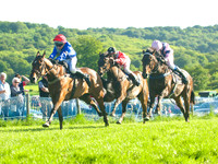 Pony Races