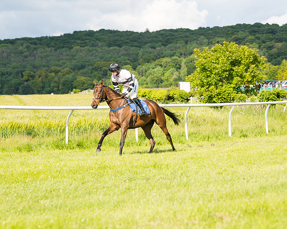 Race 6 - Open Maiden (44 of 227)