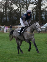 CHHC - Young Horse Maiden Division 1