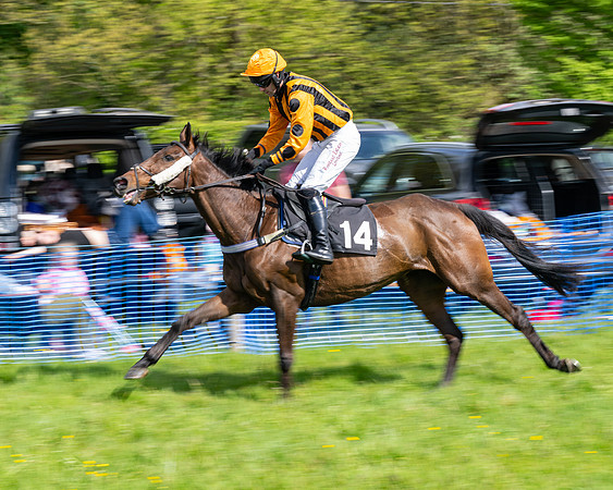 Race 4 -  2M4F Conditions  (12 of 102)