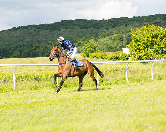 Race 6 - Open Maiden (39 of 227)