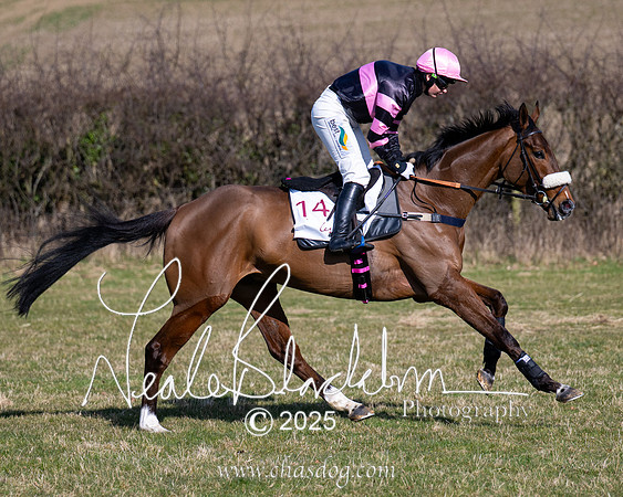 Race 1 - Maiden (55 of 188)