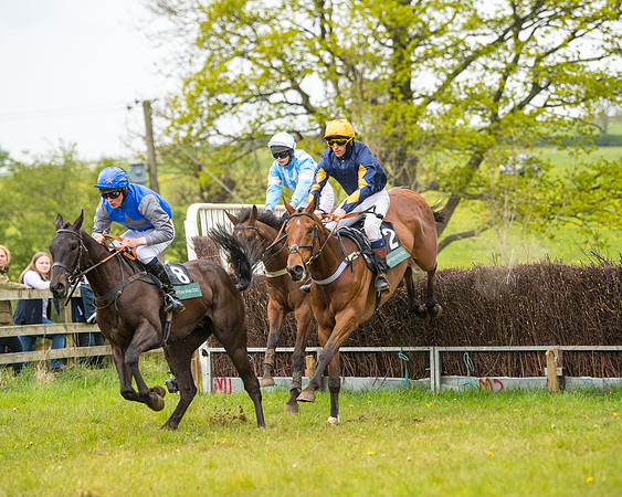 Race 7 - Open Maiden  (51 of 106)