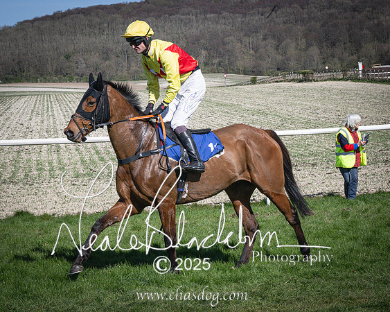Race 5 - The restricted (43 of 113)