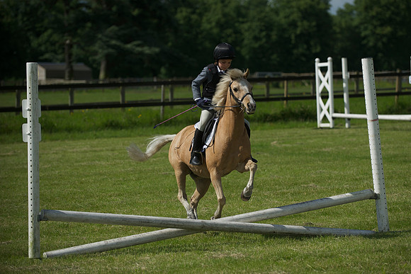 SOHS PC Summer Show at BCA 17th June 2012