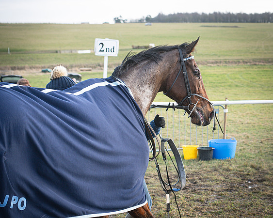 Race 6 - PPORA Novice Riders (89 of 95)
