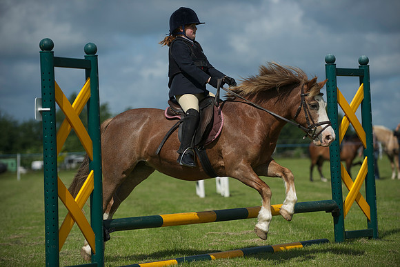 SOHS PC Summer Show at BCA 17th June 2012