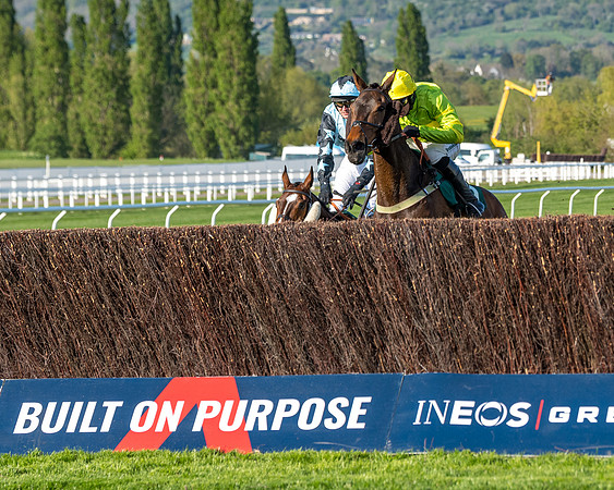 Race 3 - KTDA Hunters' Steeple Chase  (144 of 226)