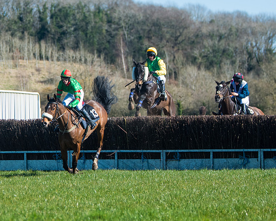 Race 2 - Warwick racecourse conditions  (8 of 122)