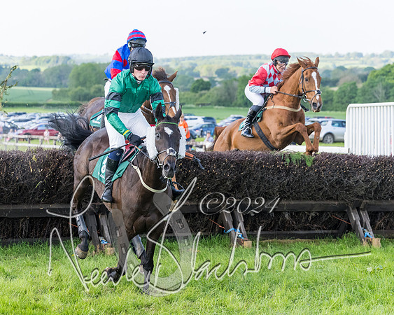 Race 7 - Veteran Horse (33 of 246)