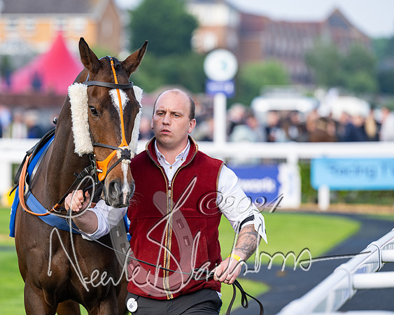 Race 4 - Stratford Foxhunters (15 of 145)