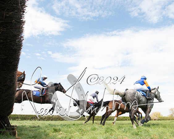 Race 2 - The Elliott of London maiden race (49 of 137)