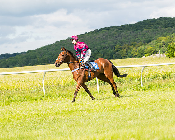 Race 6 - Open Maiden (36 of 227)
