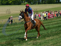 picture-4