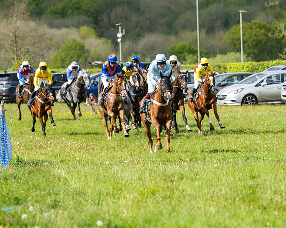Race 5  - Maiden  (3 of 84)