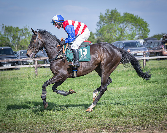 Race 6 - 2m5f Conditions (19 of 70)