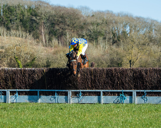 Race 5 - Novice riders (47 of 201)