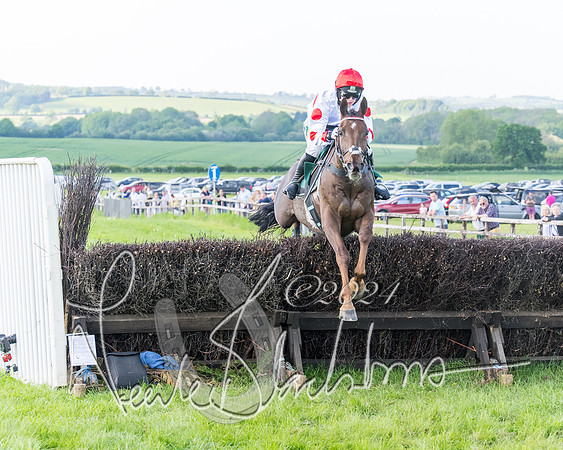 Race 7 - Veteran Horse (50 of 246)