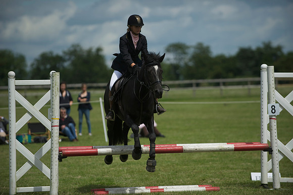 SOHS PC Summer Show at BCA 17th June 2012