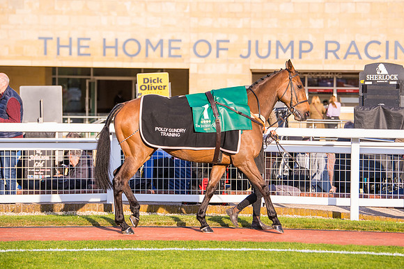 Race 5 - ITM Mares'  (7 of 181)