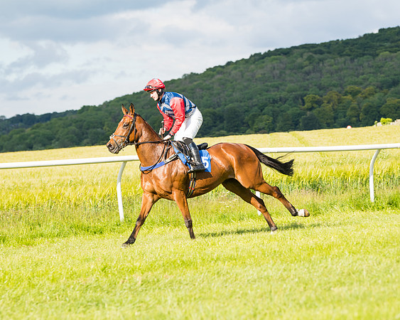 Race 6 - Open Maiden (66 of 227)