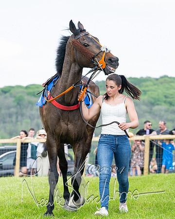 Race 2 - Restricted  (78 of 308)