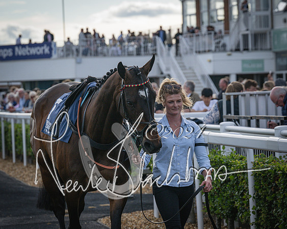 Race 3 - The pointtopoint.co.uk champion novices’ Hunter Chase (28 of 140)