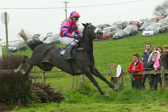 Race 5 - Restricted 38